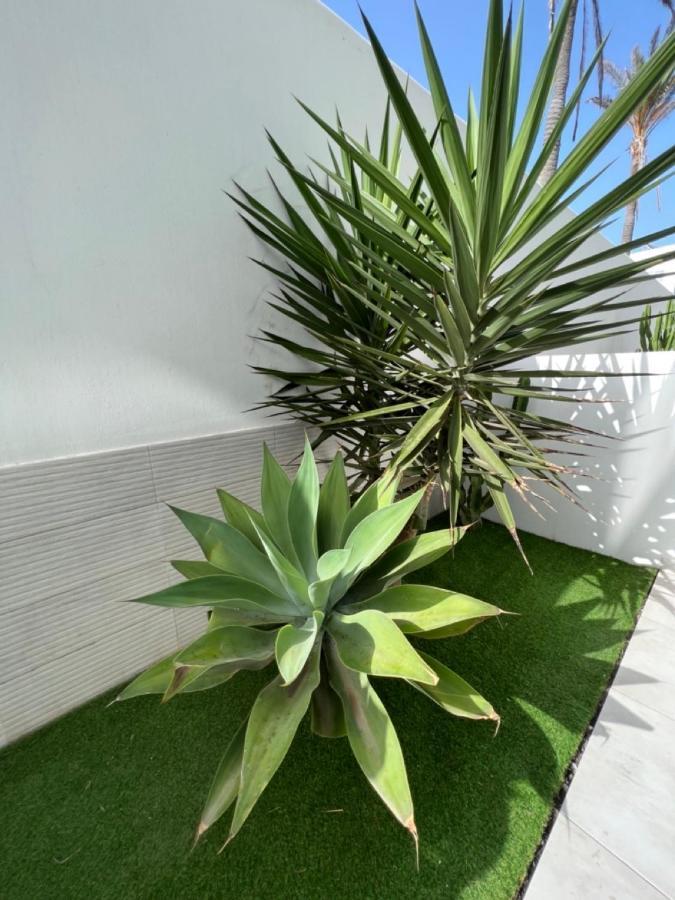 Corralejo Bristol Terrace Apartment Con Giardino Privato Esterno Εξωτερικό φωτογραφία