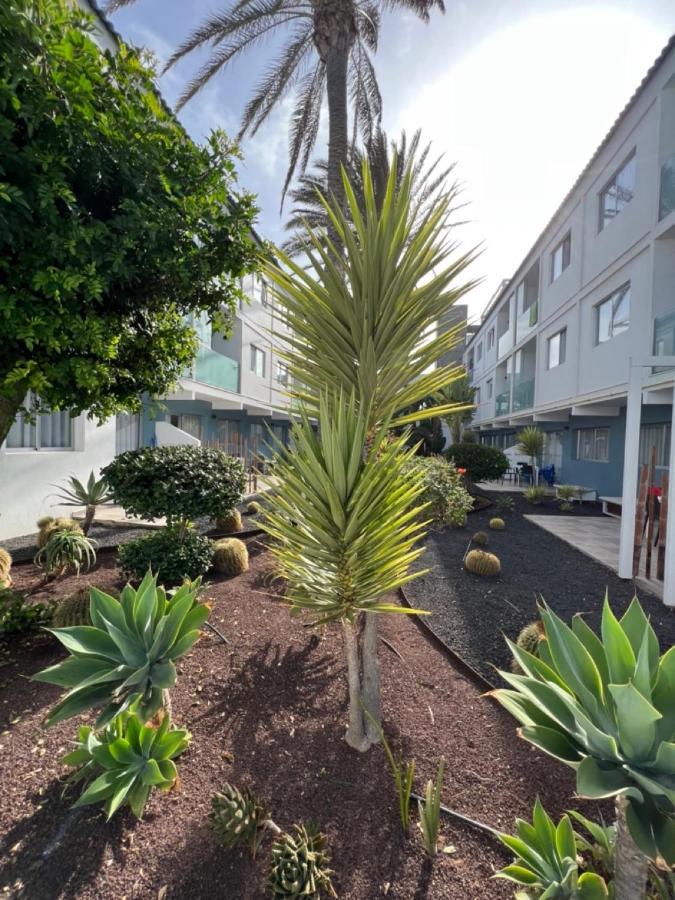 Corralejo Bristol Terrace Apartment Con Giardino Privato Esterno Εξωτερικό φωτογραφία